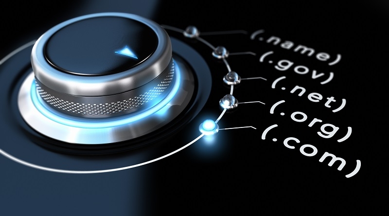 Domain registration data